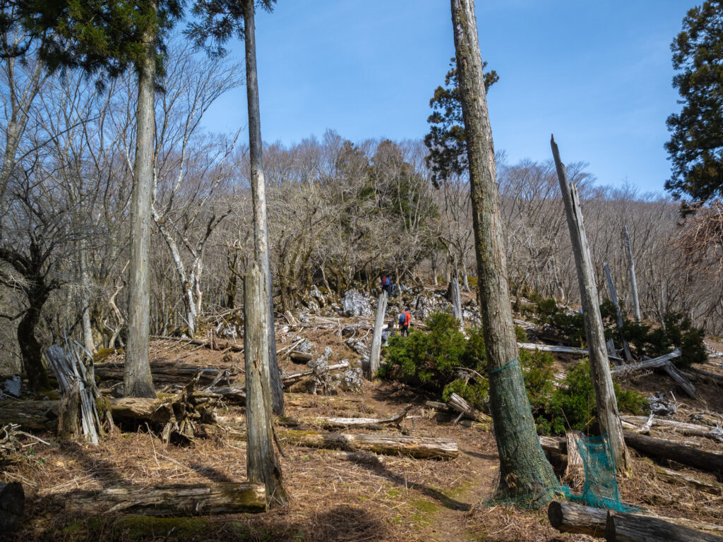 鍋尻山の登山ルート