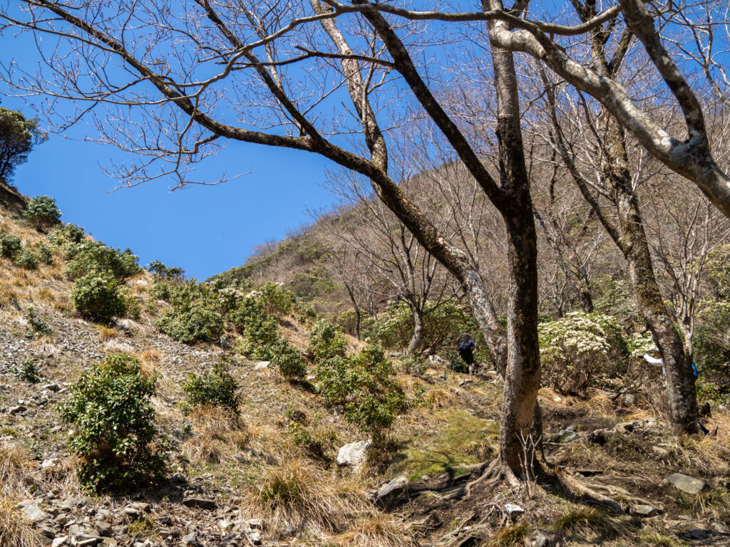 入道ヶ岳登山道の井戸谷コース