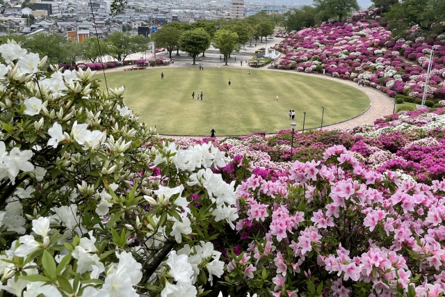 ツツジ公園