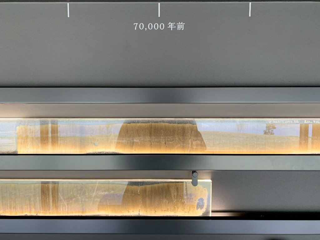 年縞展示