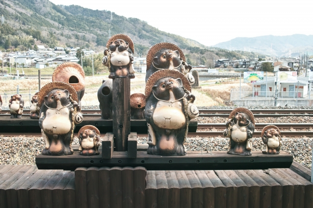 信楽たぬき