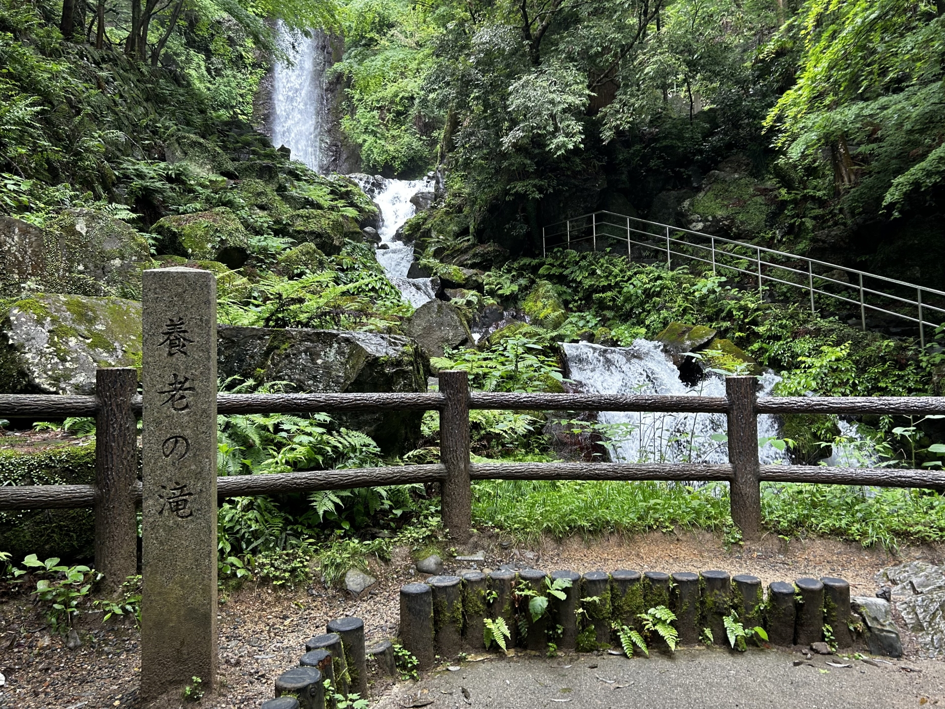 養老の滝