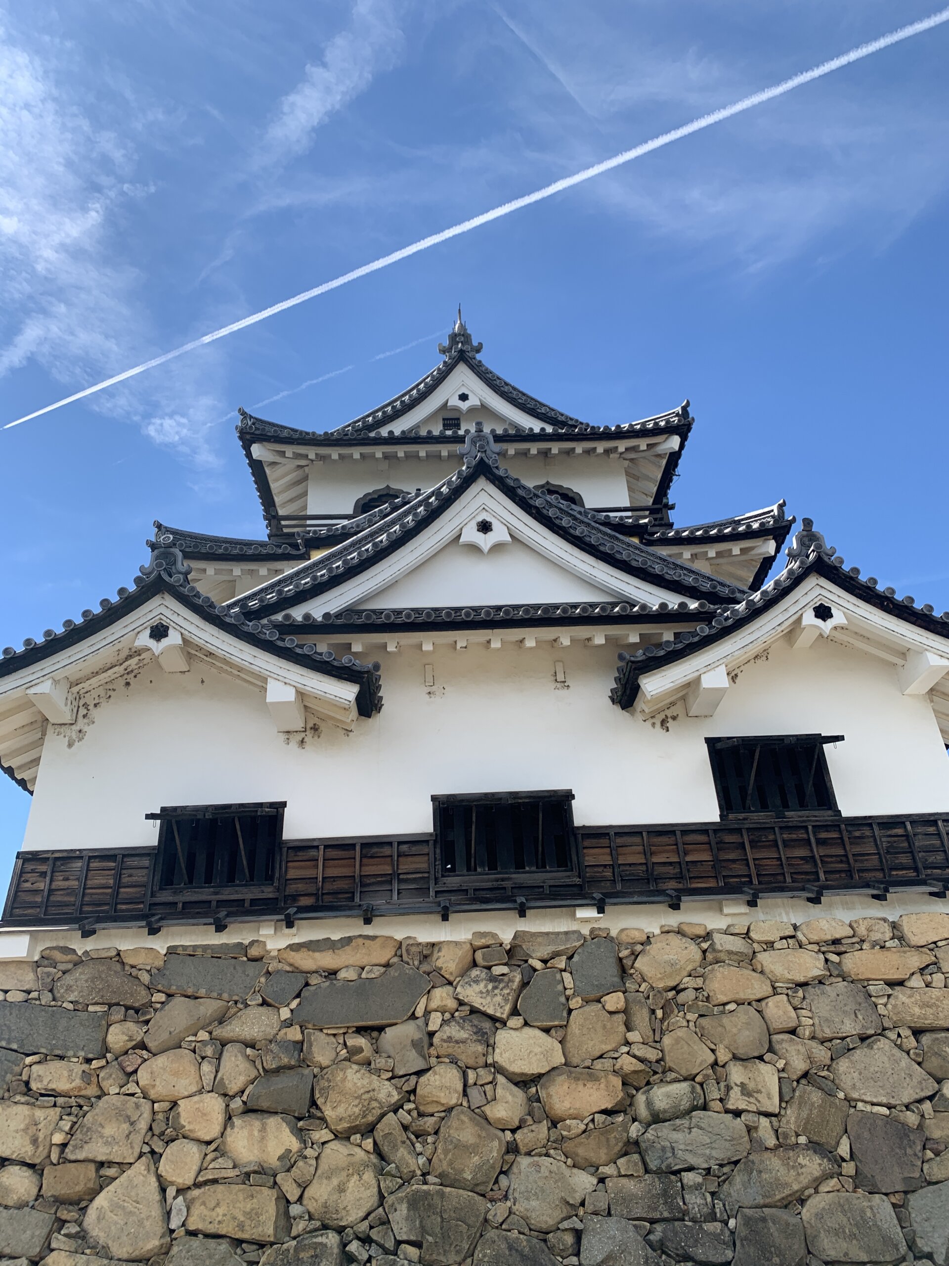 夏の彦根城